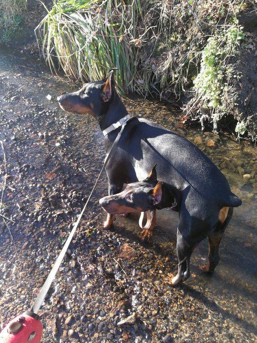 Подборка картинок. Вечерний выпуск Подборка картинок. Вечерний выпуск приколы,смешные картинки,юмор