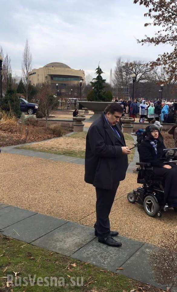 Не пропустили: Саакашвили пришлось наблюдать церемонию инаугурации Трампа из кустов за забором  (ФОТО) | Русская весна