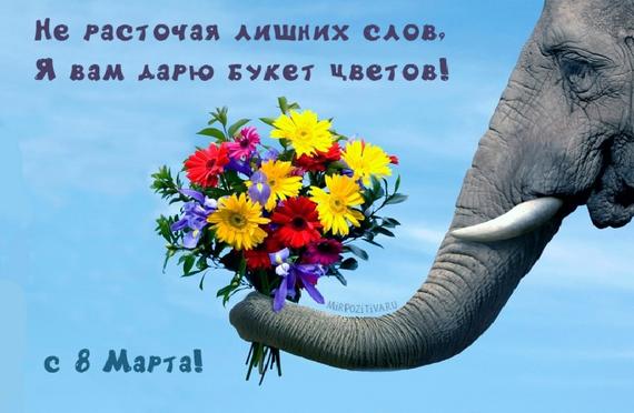 слон подает хоботом букет