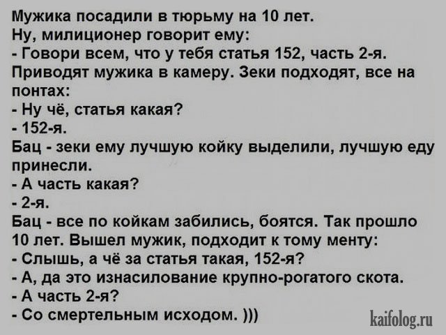 Мужика посадили. Тюремные анекдоты. Зоновские шутки. Смешные Тюремные анекдоты. Анекдоты про тюрьму.