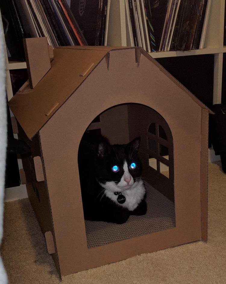 25 странных и абсурдных вещей, которые способны заставить нас усомниться в реальности 25 странных и абсурдных вещей, которые способны заставить нас усомниться в реальности