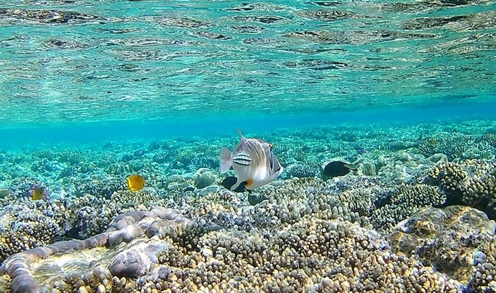 Печальные факты, связанные с изменением климата на земле