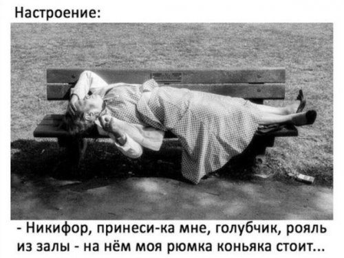Самые прикольные фотомемы дня!