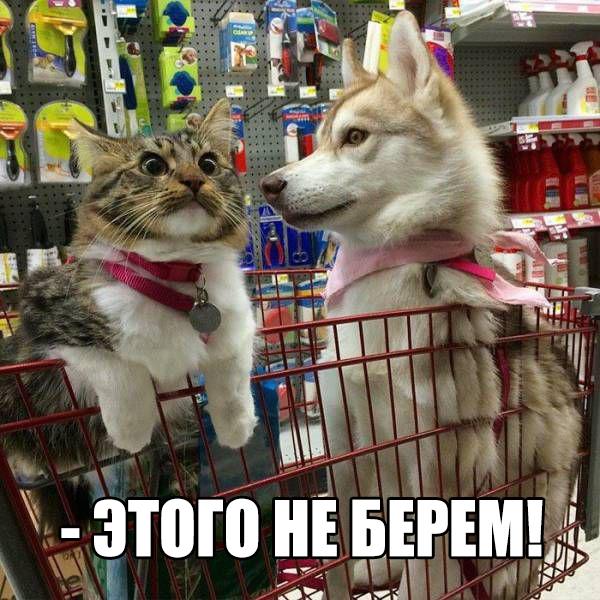 Возвращается офицер после долгого отсутствия домой Возвращается офицер после долгого отсутствия домой анекдоты,веселье,демотиваторы,приколы,смех