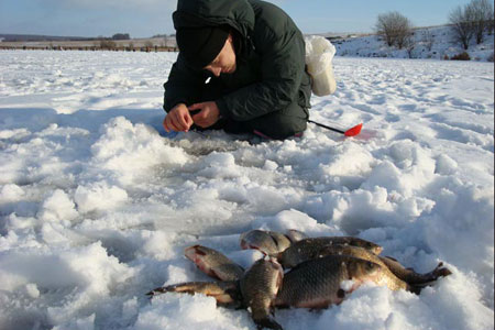 Зимой карась не любит покидать насиженные места, так что облавливать лунки с найденной рыбой можно неоднократно