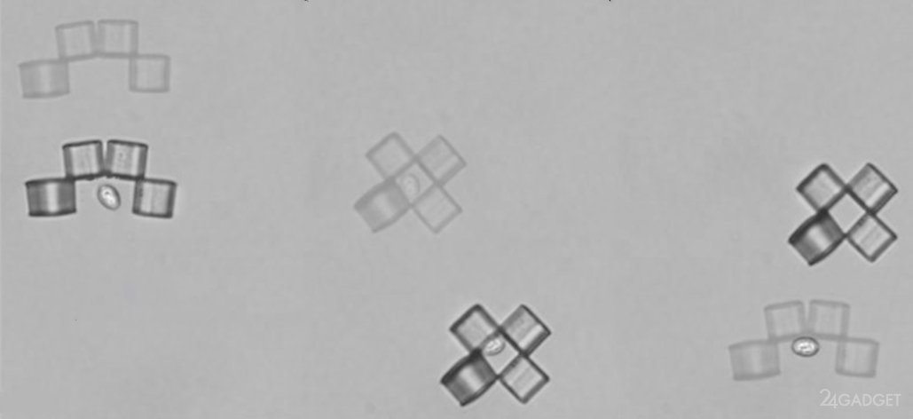 3043090