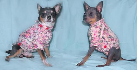 ��� ������� ��� ����� ������� �� ����� ��������! ������ ��� �������� � ������ ��� ��� �������!