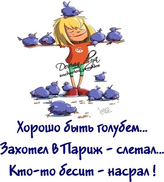 Краснодарского, веселые открытки для поднятия настроения про летнюю субботу