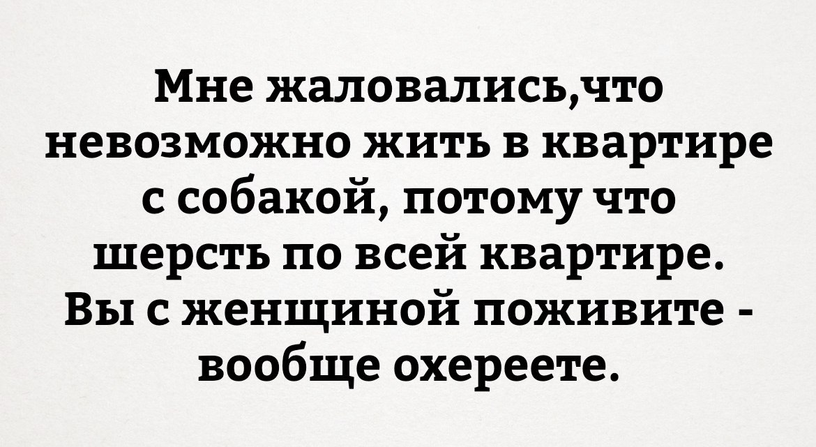 Подборка веселых картинок с надписями для хорошего настроения (12 фото)