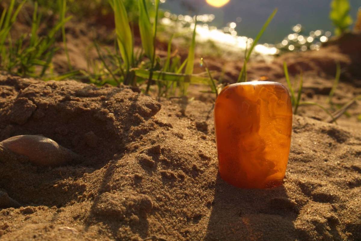 Российский подросток нашел на берегу Балтики доисторическую осу в янтаре