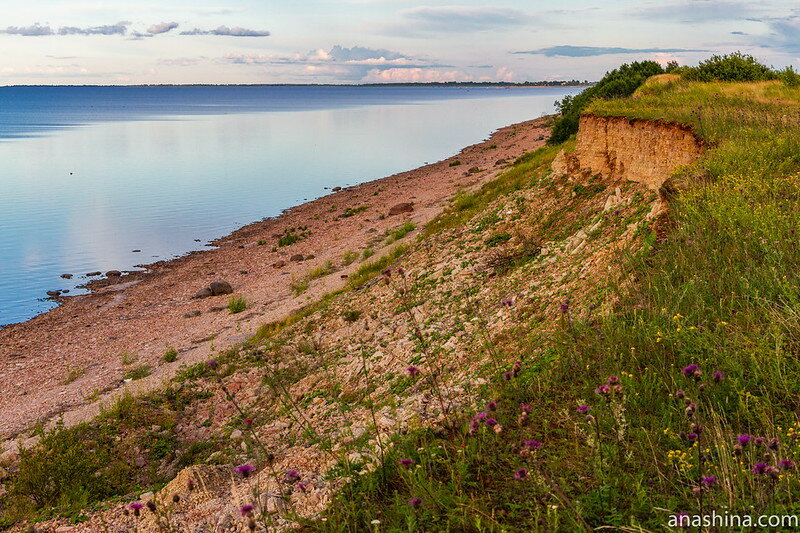 Глинт новгородская область