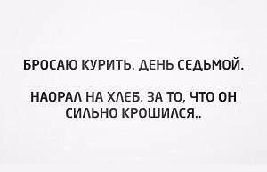 А есть Непрощённое Воскресенье? Типа когда ты звонишь тому, кого обидел, и дополнительно желаешь сдохнуть?