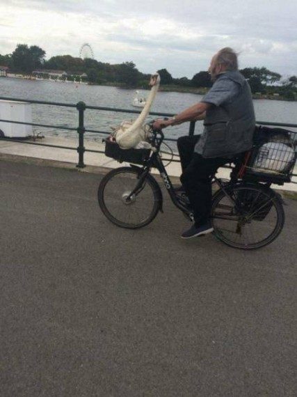 Много позитива! Много позитива!