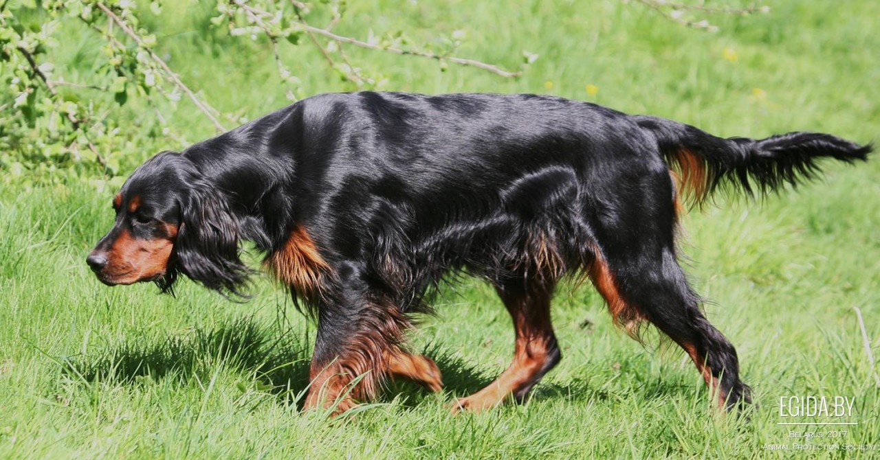 Они заслужили памятник