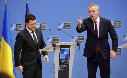 Морковка для президента: Володя, приезжай, Вильнюс ждет тебя, поговорим Морковка для президента: Володя, приезжай, Вильнюс ждет тебя, поговорим геополитика,украина