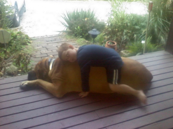 Фотоподборка 