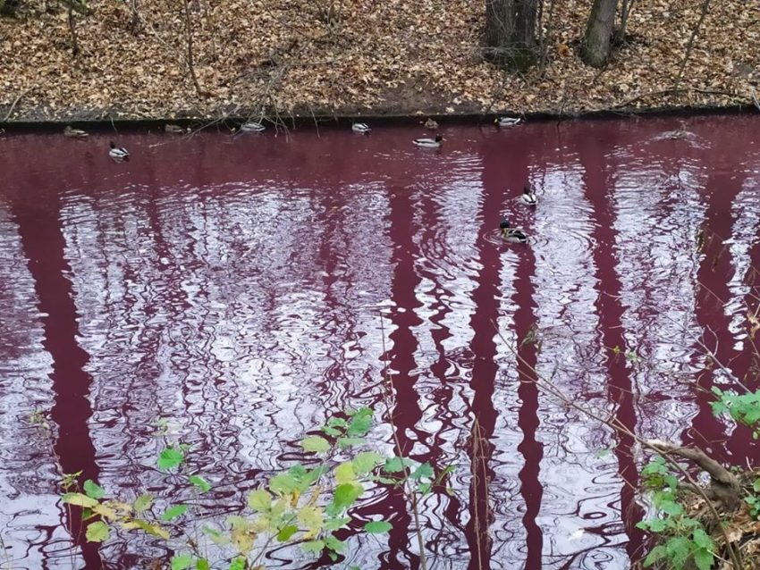 Река с красной водой. Багровые реки Далдыкан. Красный водоем. Вода в пруду. Вода красного цвета в водоеме.