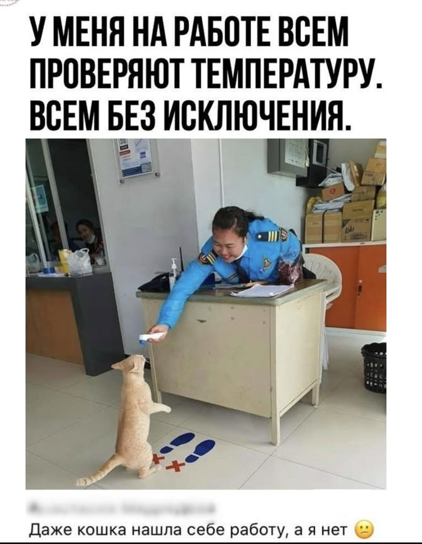Смешные комментарии, как острый соус: добавляют огонь в каждый пост 