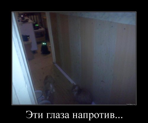 Прикольные демотиваторы Прикольные демотиваторы