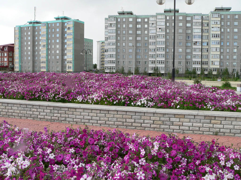 Когалым - 60-тысячный город в тайге (только фотографии города без комментариев) когалым, россия, фоторепортаж