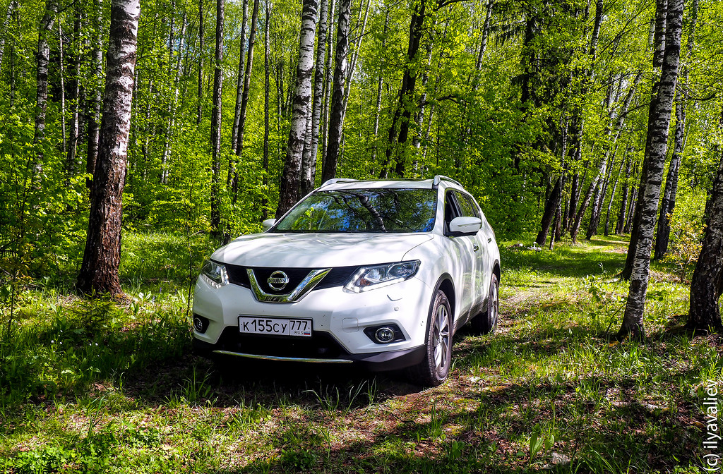 xtrail (6 из 14).jpg