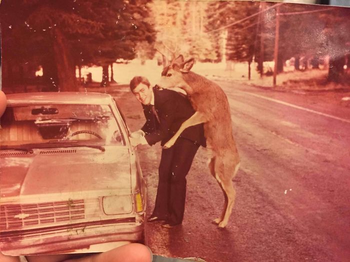 This Happened Unexpectedly To My Dad's Friend In Idaho Circa 1980 While He Was Leaning Into His Car To Get Something
