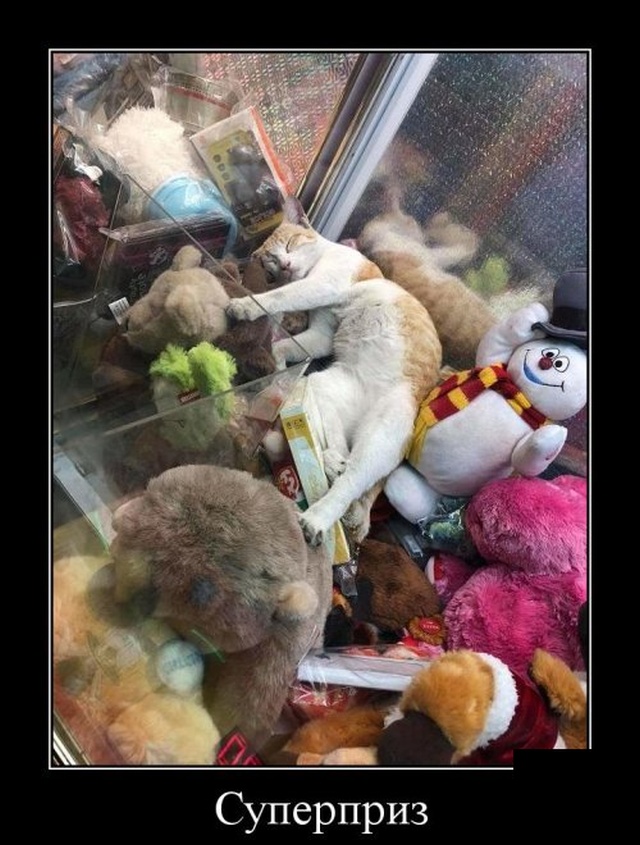 Молодой человек, вы что, меня клеите? анекдоты,веселье,демотиваторы,приколы,смех,юмор