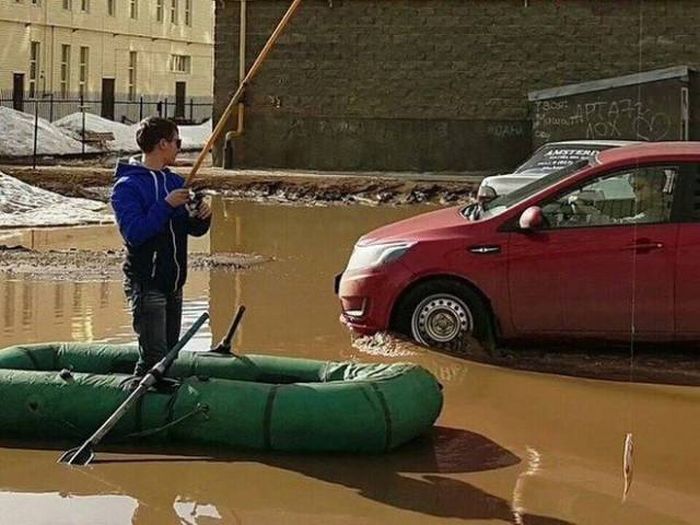 Веселые, милые и забавные фотографии для улыбки и позитива 