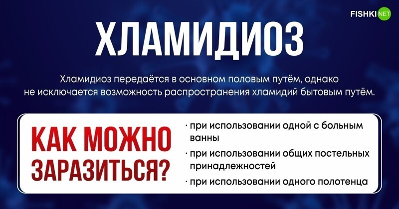 Что нужно помнить о бытовых методах передачи опасных заболеваний венерические заболевания,гигиена,здоровье,ЗПБП,ЗППП,инфекции,медицина