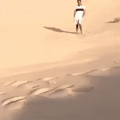 Анимированные картинки на вторник Анимированные картинки на вторник