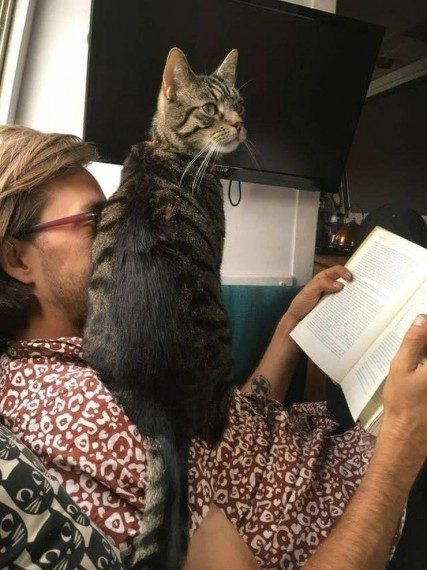 Много позитива! Много позитива!