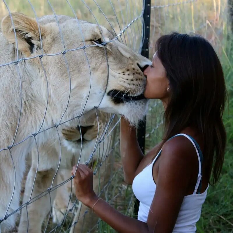 Союз силы и нежности - на это можно смотреть вечно! Союз силы и нежности - на это можно смотреть вечно! фотография
