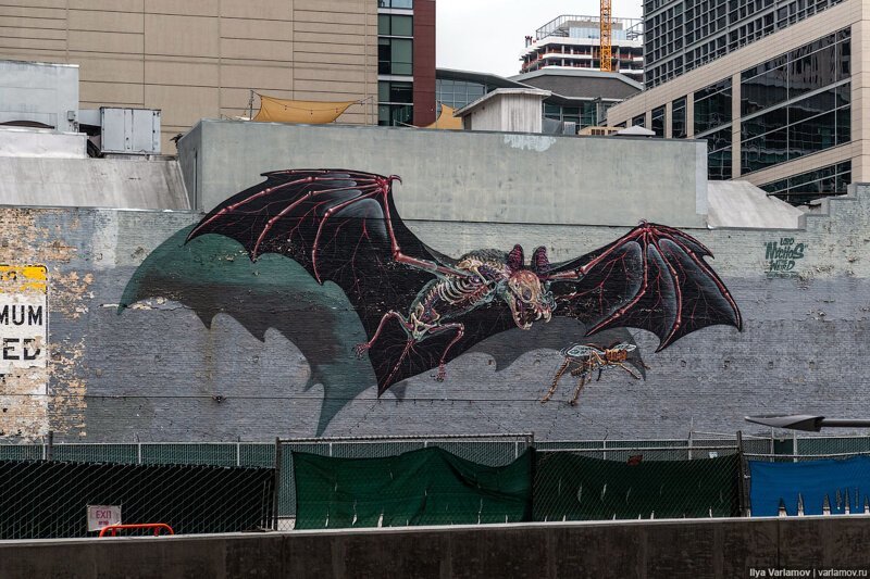 Как американцы проектируют улицы Как американцы проектируют улицы