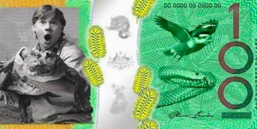 Стив Ирвин : Секреты гибели "охотника на крокодилов"