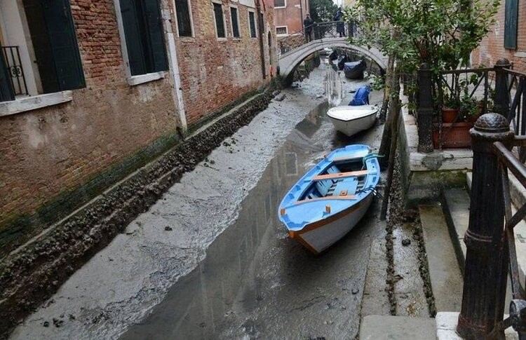 На чём стоит Венеция? Секрет города на воде Венеция,дерево,Италия