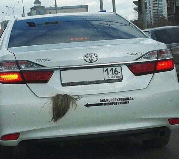 Подборка картинок. Вечерний выпуск (51 фото)