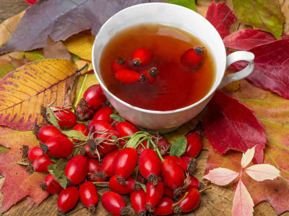 Уникальный отвар для иммунитета - всю зиму болеть не будете!