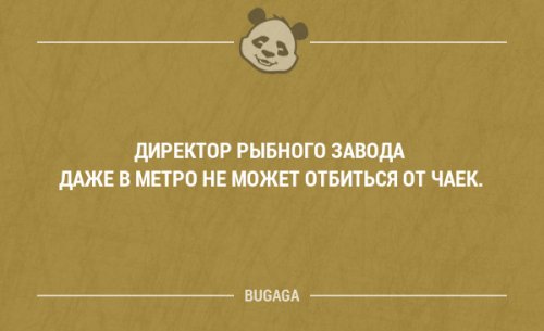 Прикольные фразы в картинках с надписями. Часть 78 (17 шт)