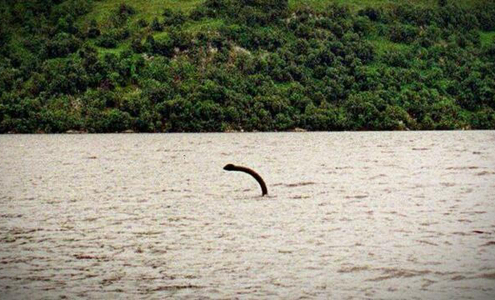 Фотограф разбирал старые снимки Лох-Несского озера и случайно заметил на одном из них силуэт огромного существа