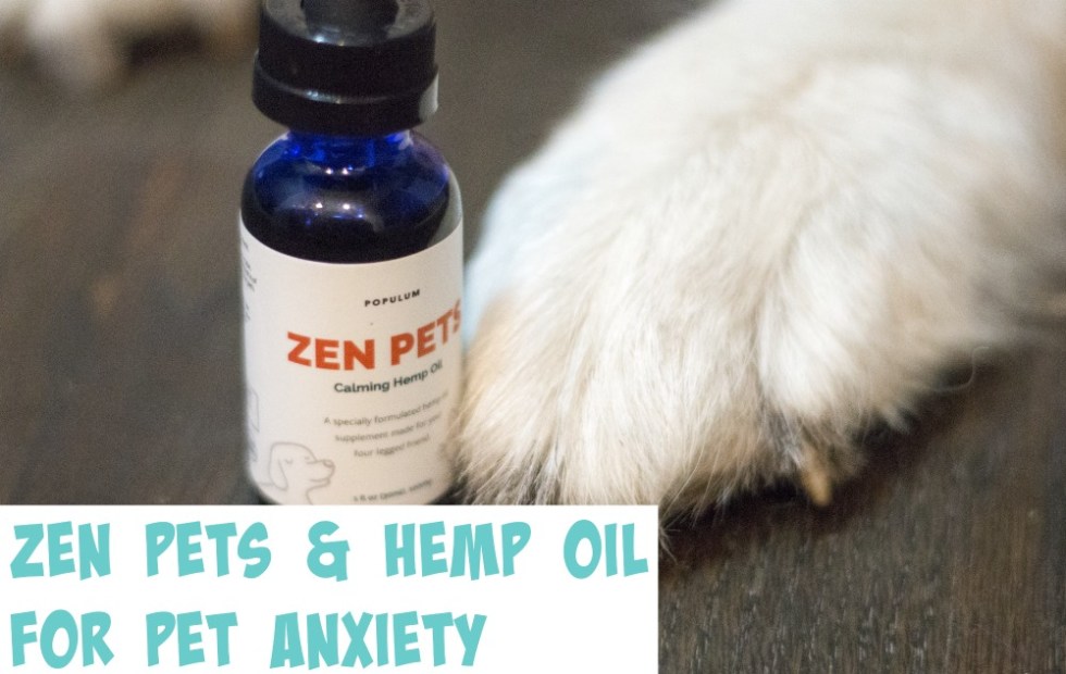 Does your dog suffer from anxiety or inflammation? Populum's Zen Pets may be the hemp oil solution you're looking for.