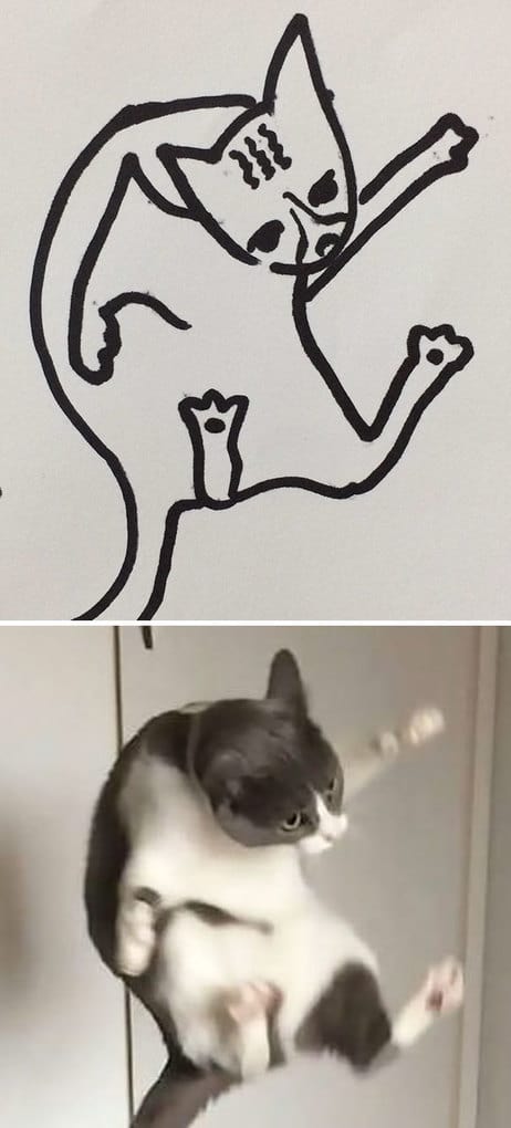 Poorly Drawn Cat