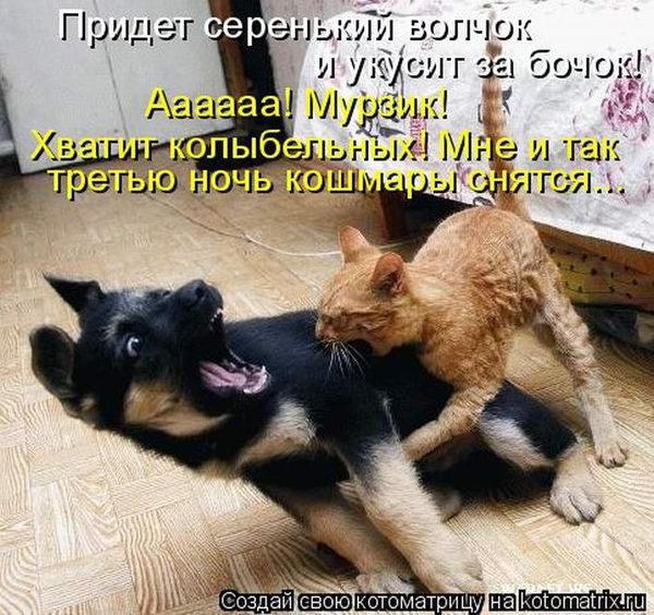 Мысли вслух :)