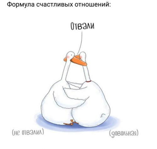 Весёлые фотомемы Весёлые фотомемы