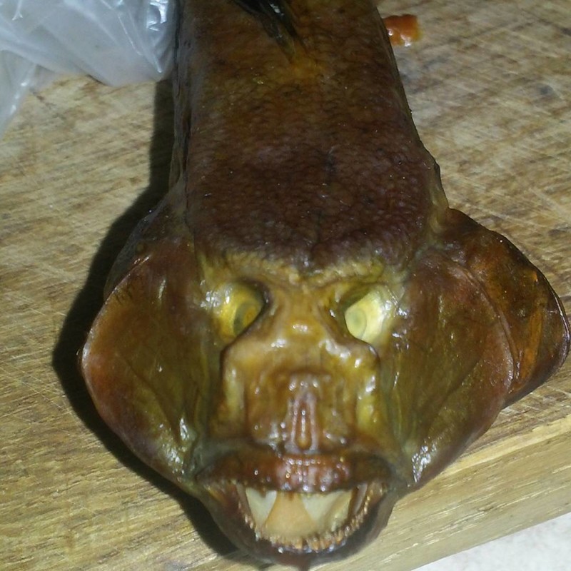 Якобы еда непонятно, нечто, что ты такое