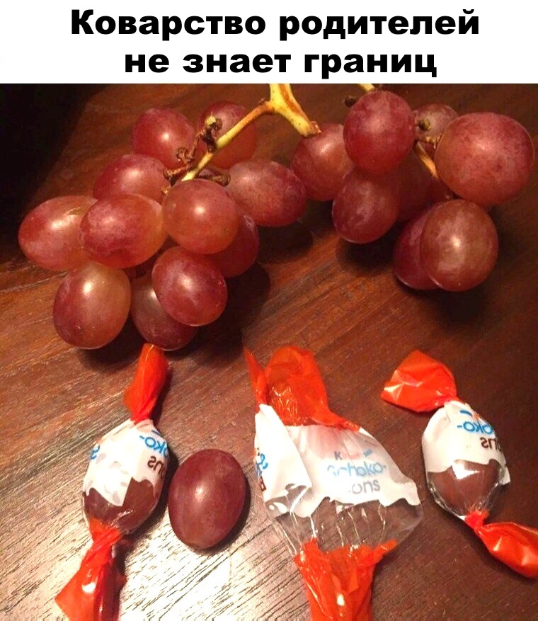 Подборка веселых фотографий и забавных картинок с надписями Подборка веселых фотографий и забавных картинок с надписями