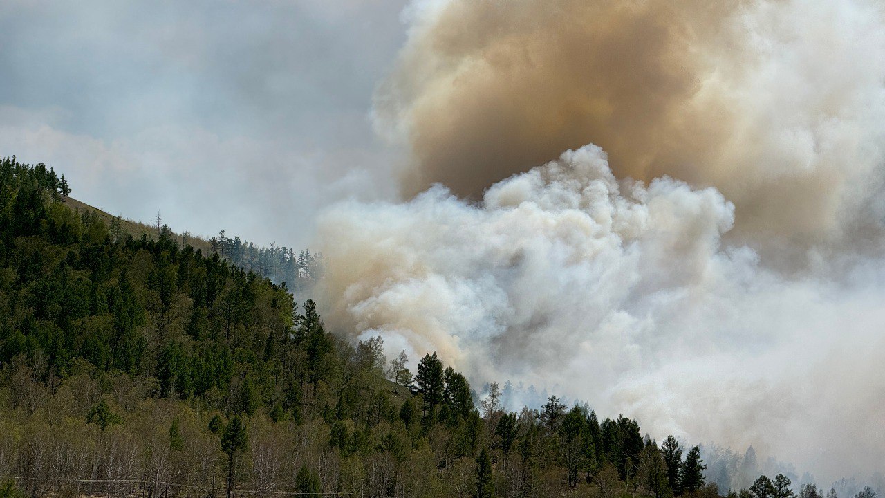 Взрывы грунта в лесах Сретенского района помогают в борьбе с пожарами