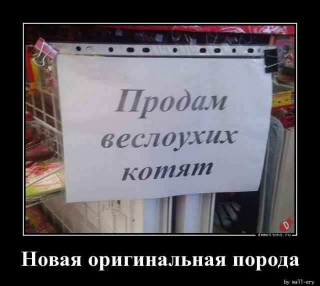 Демотиваторы для всех: «Моя вселенная…»  