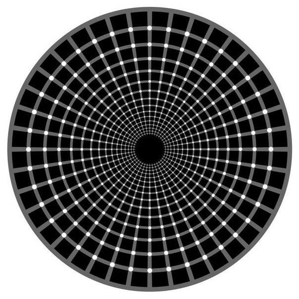 Оптические иллюзии профессора Акиоши