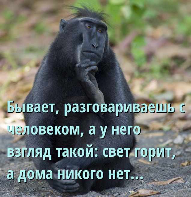 Дед приходит на избирательный участок.. анекдоты,веселье,демотиваторы,приколы,смех,юмор