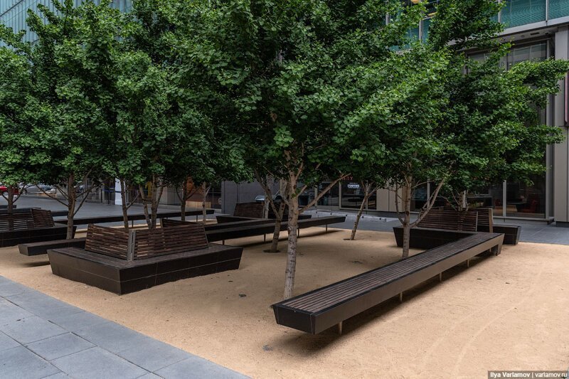 Как американцы проектируют улицы Как американцы проектируют улицы